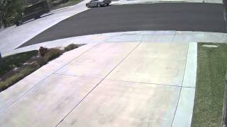 Axis P3367 Day Video