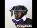 Crusoe Going on a National Book Signing Tour!