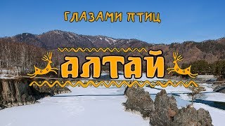 Алтай глазами птиц. DJI SPARK Drone Footage Altai Through the eyes of birds.