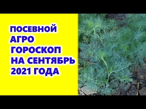 Видео: 5-р бүсийн намрын цэцэрлэгжүүлэлт - 5-р бүсийн цэцэрлэгт намар тарих зөвлөмжүүд