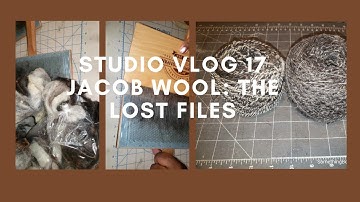 Studio Vlog 17 Jacob Wool from High Hog Farm
