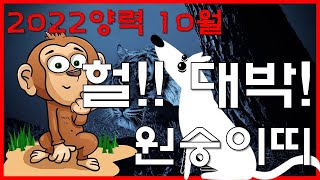 2022 양력 10월 원숭이띠 운세 이보다 더 좋을 수는 없다. / 재물 운명 사주팔자 금전운 궁합 애정 운…