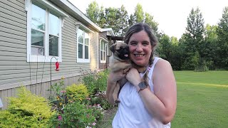 JUNE GARDEN TOUR