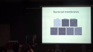 Huey W. Huang, Membrane Biophysics & Soft Matter Physics Part I screenshot 4