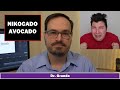Nikocado Avocado (Nicholas Perry) Channel Analysis