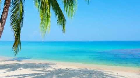 مقطع من أوائل سورة مريم بصوت القارئ: محمد عبد الحكيم هائل اليمني