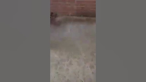 ALS Ice Bucket Challenge Gone Wrong