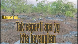 Download lagu Mencari harta karun di pagi hari - Di lesong daya #metaldetectorfrommadura
