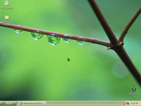 Viewing Windows XP's Default and Plus! Desktop Themes