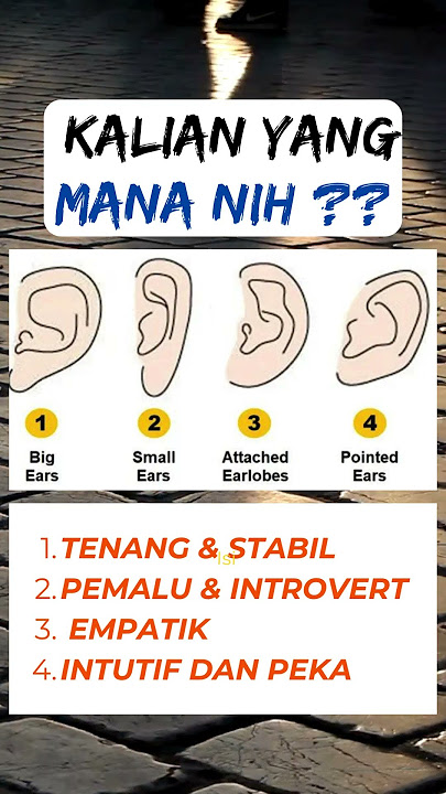 Kepribadian Seseorang dari Bentuk Telinga, Kalian yang mana nih? #shorts #shortsvideo #kepribadian