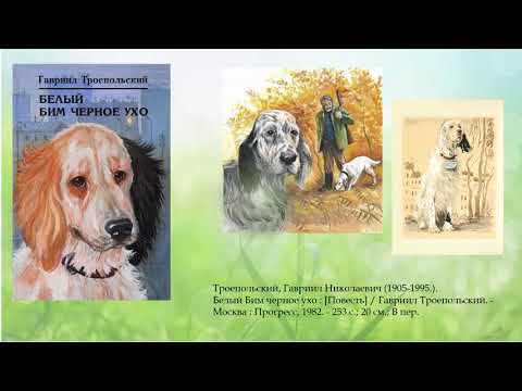 Видеообзор книг «О братьях наших меньших»