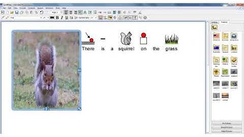 SymWriter 2 | Using Images as Illustration