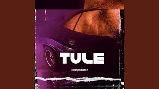 Download Lagu Tule