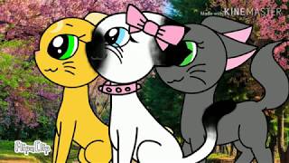 Edit pour Rainbow Diamond