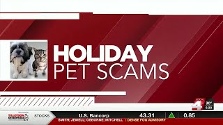 Better Business Bureau warns of pet adoption scams