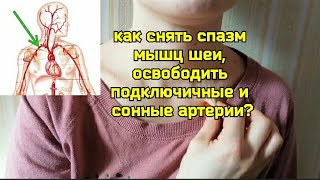 Хотите Укрепить Шею И Улучшить Мозговое Кровообращение? Упражнения Для Подключичной И Сонных Артерий