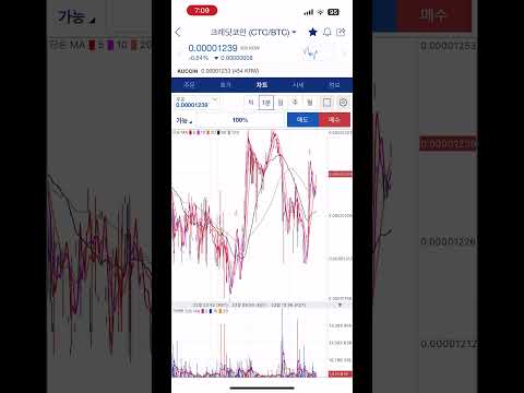 코인 존버 (크레딧코인) +추매 8만원