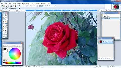 Paint.NET, Fade Edges using Alpha Blur