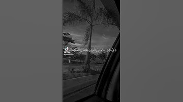 سورة الكهف بصوت القارئ فارس عباد