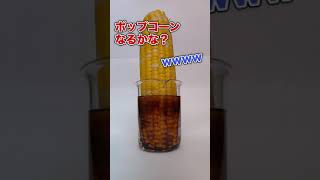 硫酸にとうもろこしを入れて一瞬でポップコーンになるのか？リクエスト観察