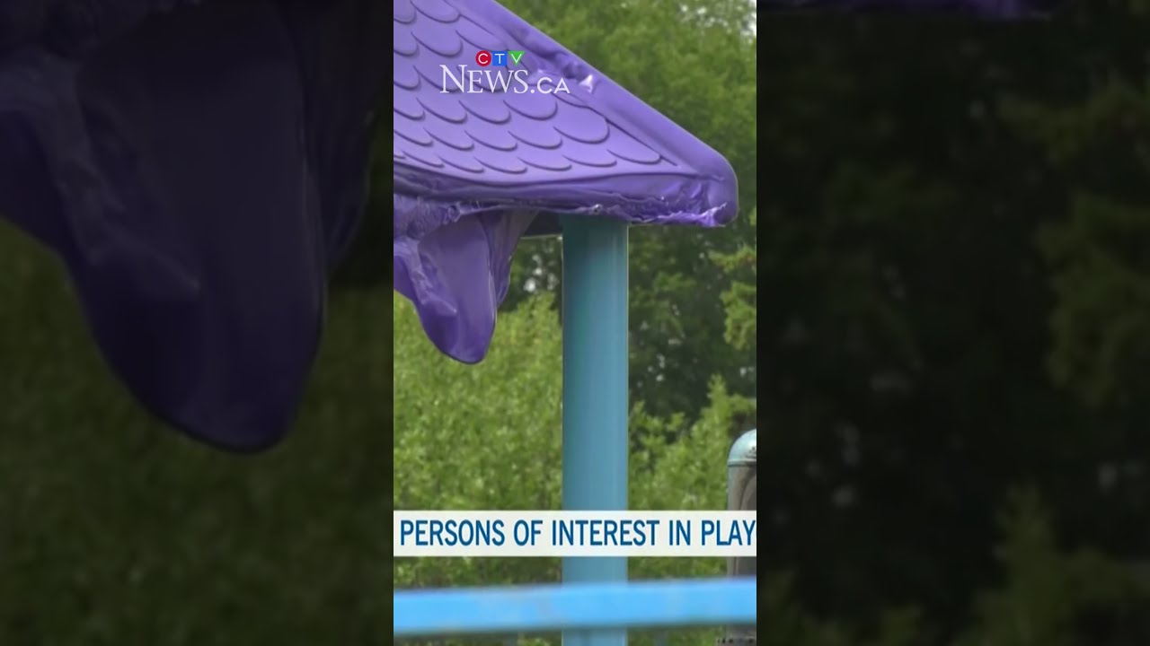 5 Persons Of Interest Identified In Edmonton Playground Arson