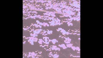 Rob Burger - Diminished Capacity_Short Tux (City Of Strangers, 2009)