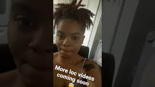 Thick Locs | 4 month High Loc Ponytail |