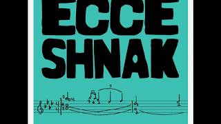 Video thumbnail of "Ecce Shnak - "Hey Man, Nice Turtle!""