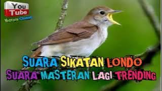 MASTERAN SIKATAN LONDO GACOR,GANAS DAN RAPAT || MP3 TEMBAKAN SIKATAN LONDO
