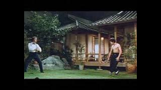 Kung-Fu: Bruce Lee vs. Robert Baker