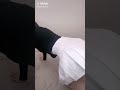 何度も見ないでね Shorts 何度も見ないでね Shorts