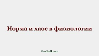 Норма и хаос в физиологических процессах человека на примере пищеварения и процессе родов