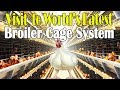 Broiler cage system: World's fully automated facility