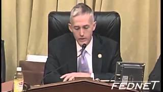 Gowdy: We're looking for remedy that will last a lifetime.