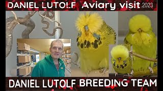 Daniel Lutolf Breeding team (Top Quality Budgies) by Parrots Hobby & Tourism  13,175 views 1 year ago 15 minutes