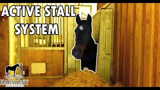 Active Horse Stall System In Germany To Keep Horses Healthy