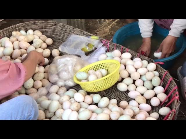 Economic Hard Boiled Egg Peeler Chicken Egg Peeling Machine