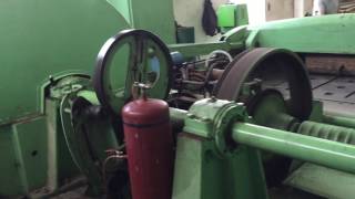 IMG 0250