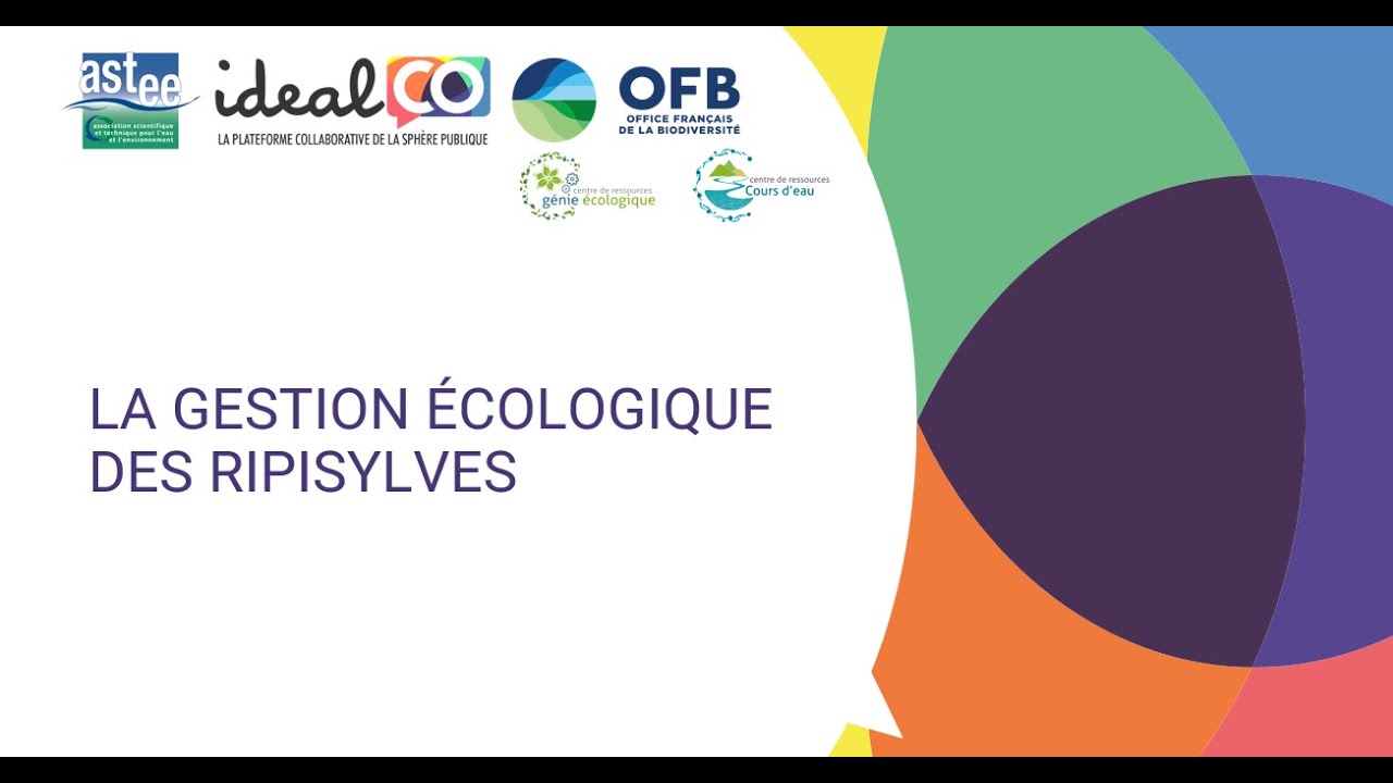 [Webinaire] La gestion écologique des ripisylves - YouTube