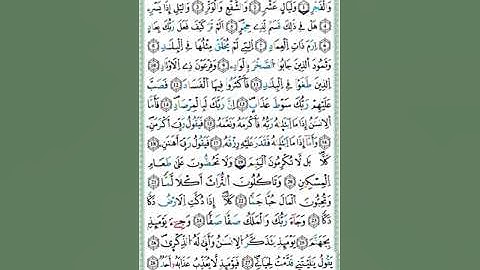 سورة الفجر من مصحف التجويد - توفيق النوري -