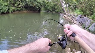 CRAZY Creek Fishing Adventure!!! NEW Spot LOADED with Fish