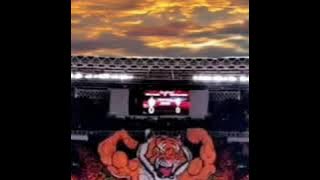 Status Whatsapp PERSIJA DAY Macan Kemayoran