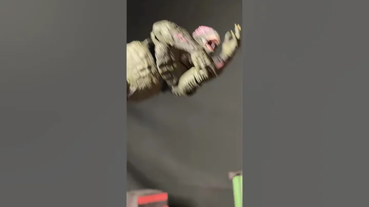 Godzilla nacho libre #comedy  #monsterverse #godzillaactionfigures @BluntBrothersProductions ￼