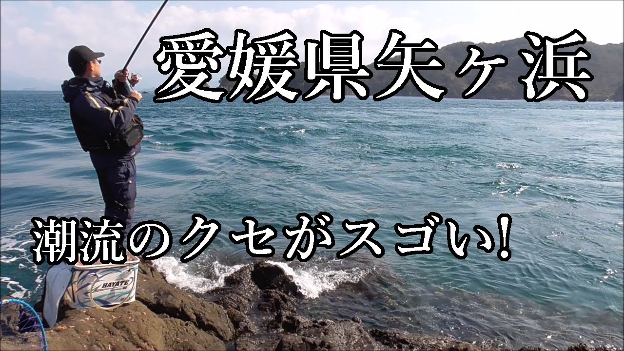 死ぬかと思った！「愛媛県矢ヶ浜グレ釣り」