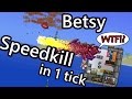 Terraria - Betsy Speedkill in 1 tick (World Record)