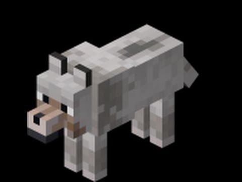 comment élever un loup sur minecraft - YouTube comment élever un loup sur minecraft - YouTube