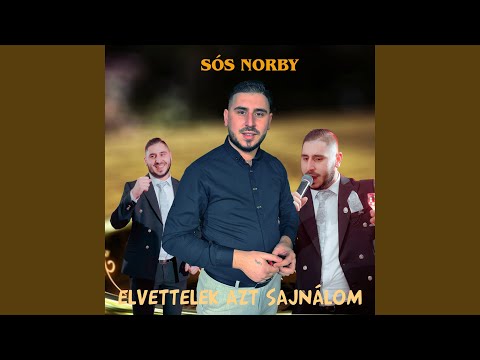 Elvettelek azt sajnálom