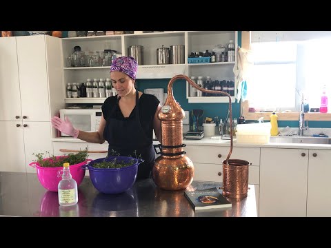 Distilling Coriander in a Copper Alembic