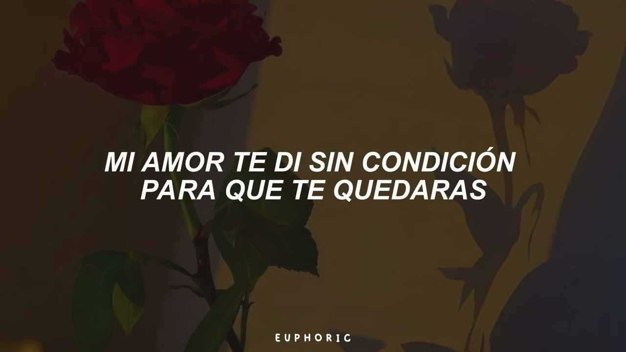 Sin Bandera - Te Vi Venir (Letra)