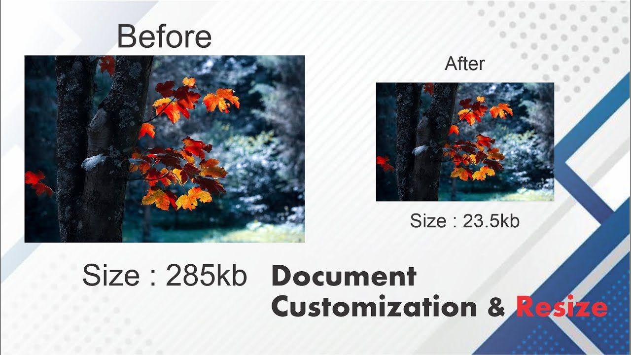 Photo & Document Resize Tutorials | Reduce Photo Size Through Computer | Offline Photo Resize 2024